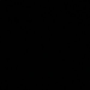 Meet your Posher, Trae